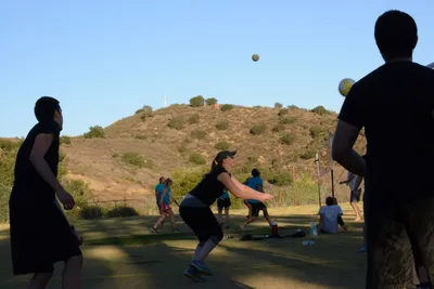 DSC_5260 (Large).JPG